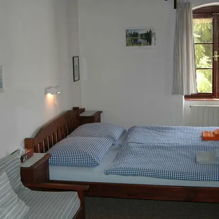 Pension Cervena Guest house *